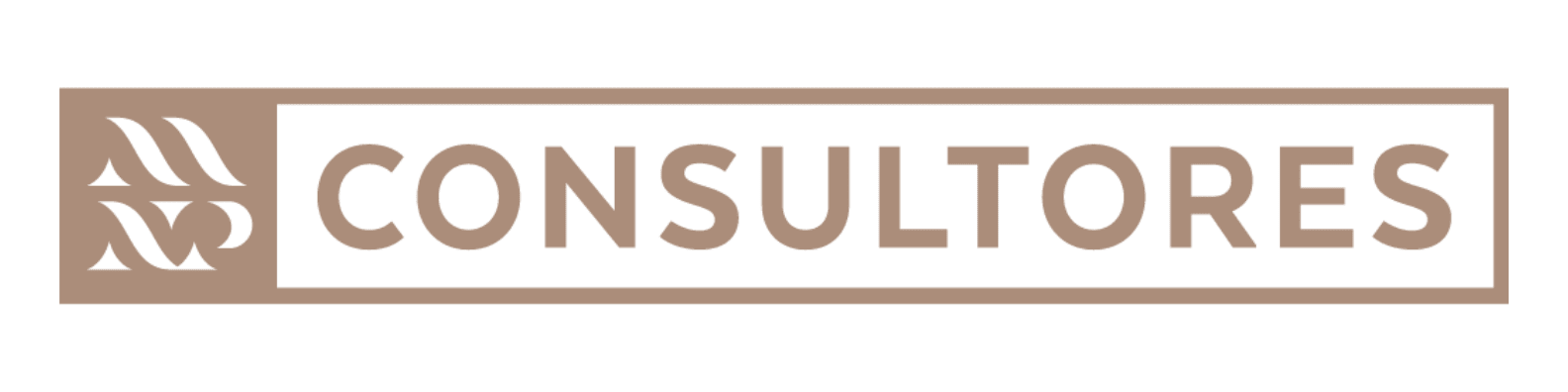 Logo_MNPconsultores-2
